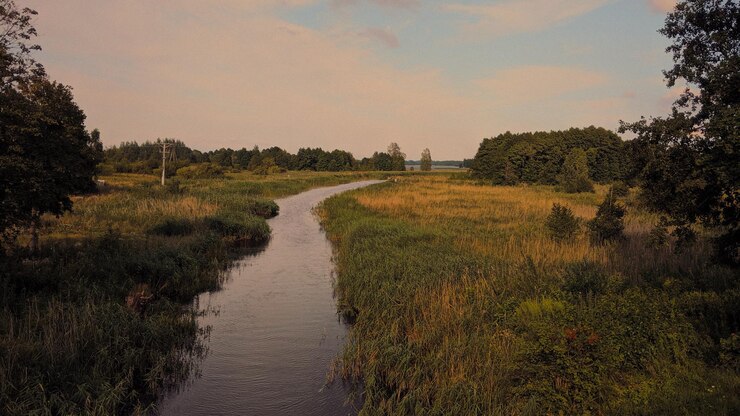 Reedy River Landscapes