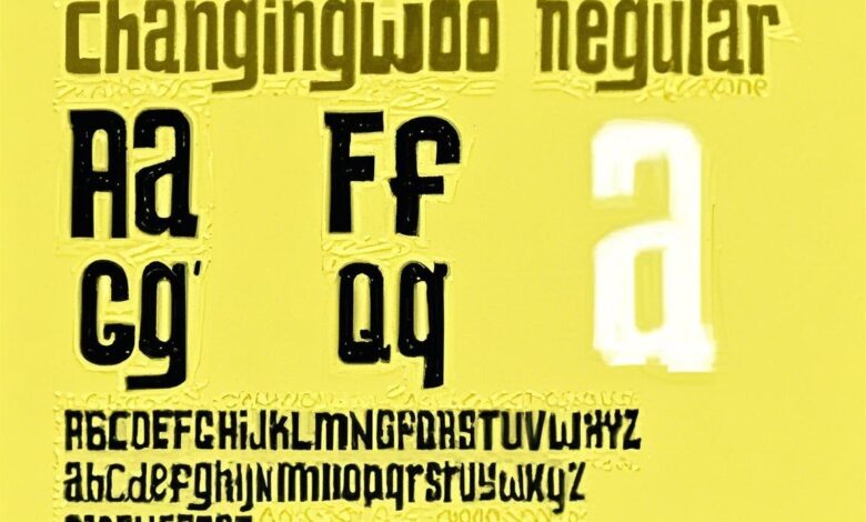 changing w00 font
